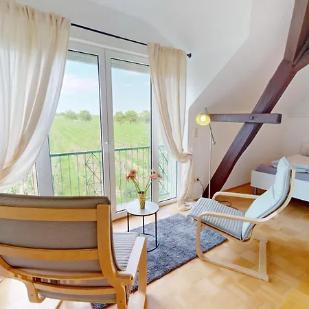 Prázdninový dům Im Weinberg Kallstadt
