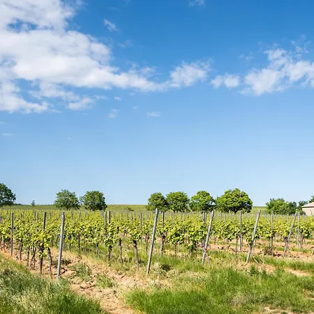 Im Weinberg Prázdninový dům Kallstadt